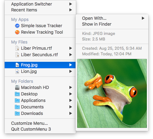 File Info Submenu CustomMenu 3 - File Info Image